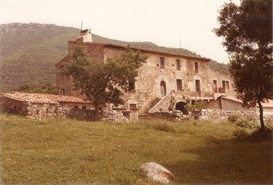 vinyes