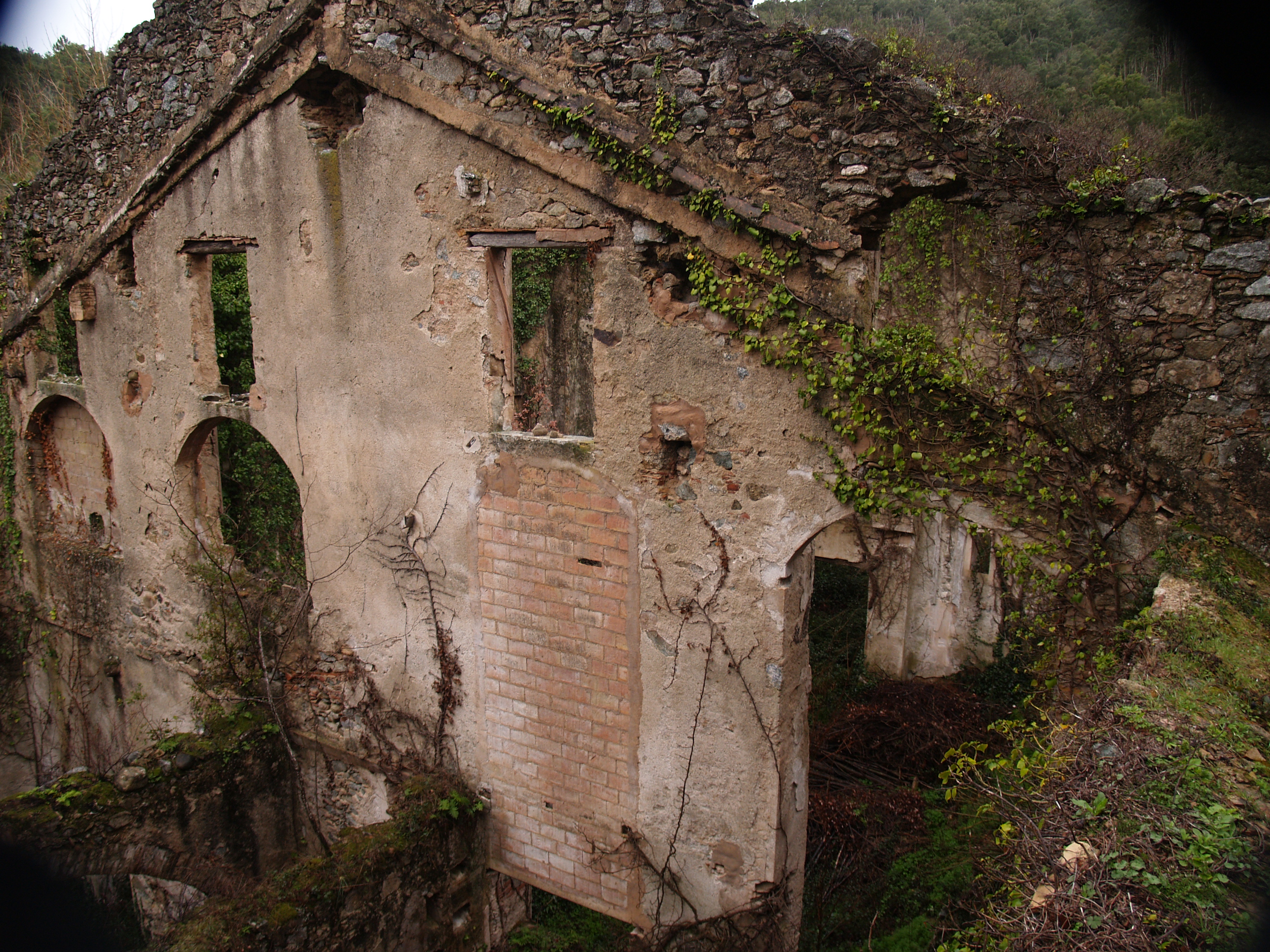 Restes del molí de sabonet