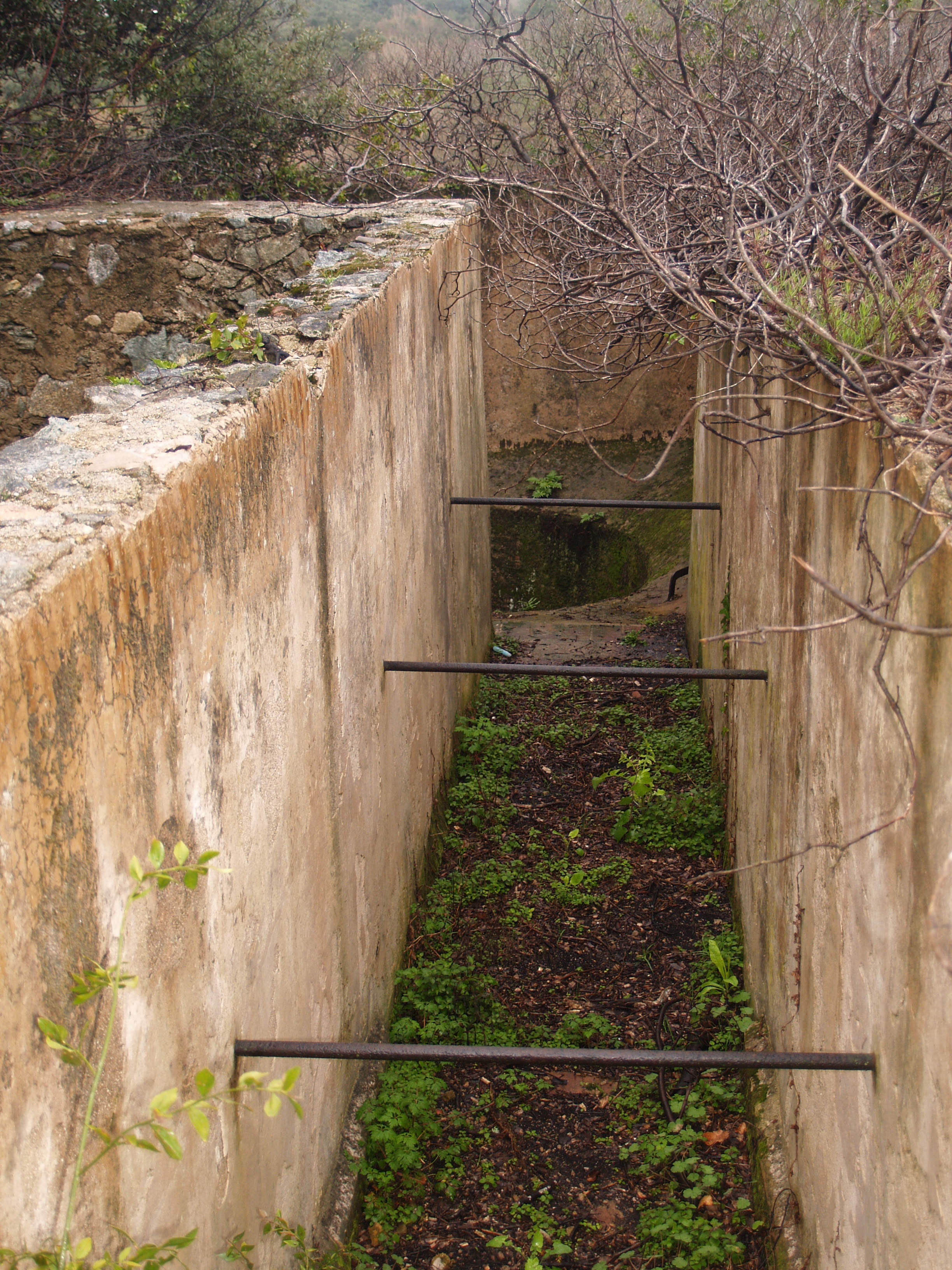 Canal del molí de sabonet de la Farga